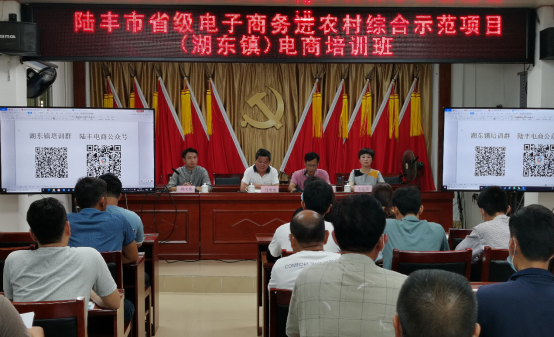 湖東鎮(zhèn)電商培訓班.png