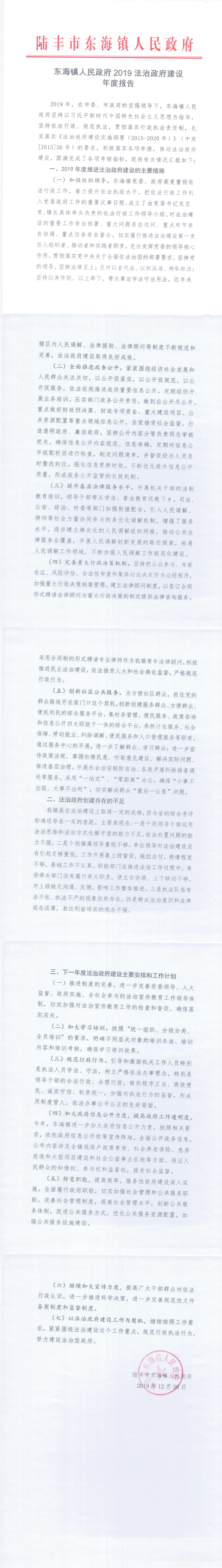 東海鎮(zhèn)人民政府2019年法治政府建設年度報告_0.png