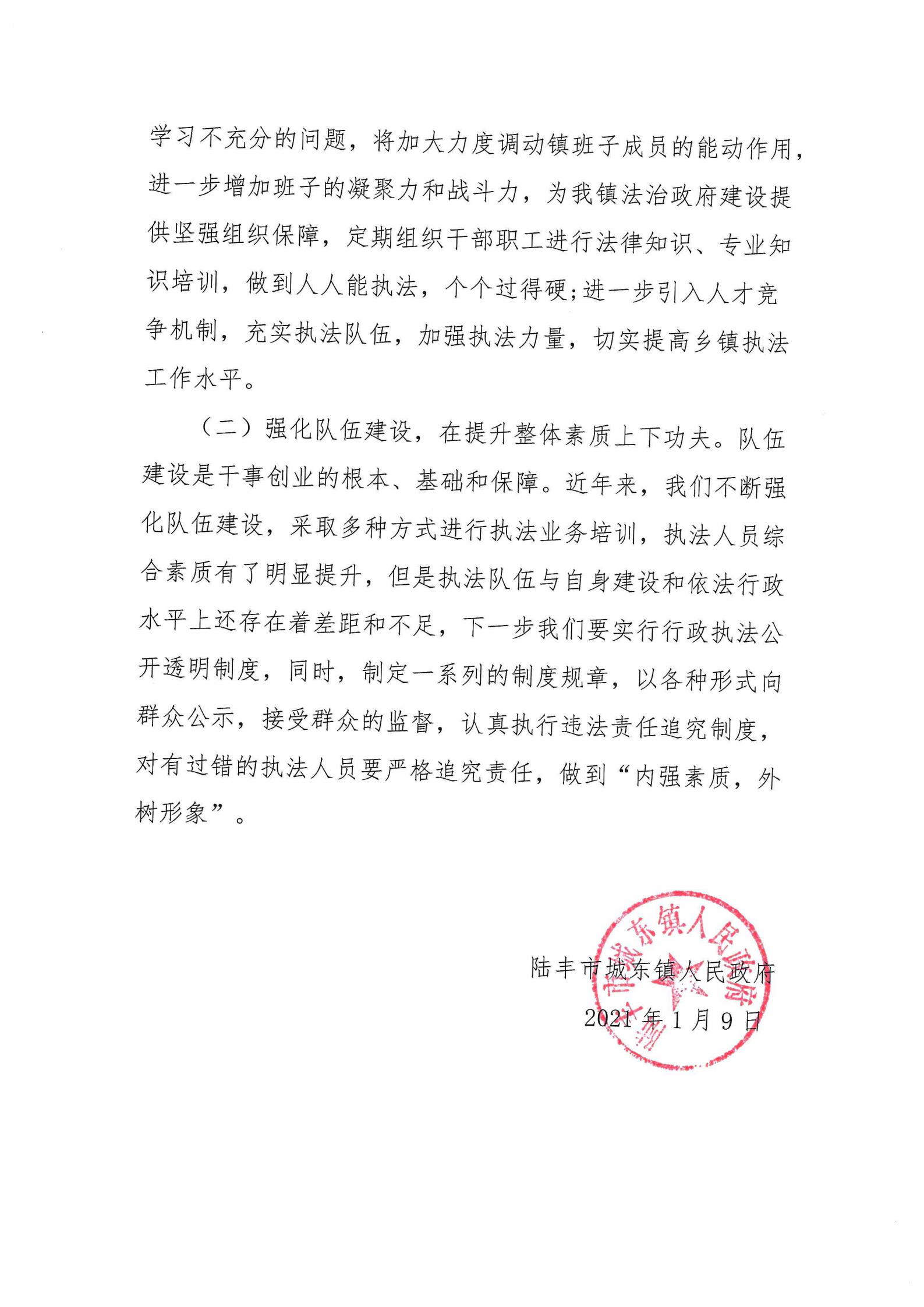 城東鎮(zhèn)人民政府2020年度法治政府建設(shè)年度報(bào)告_03.png