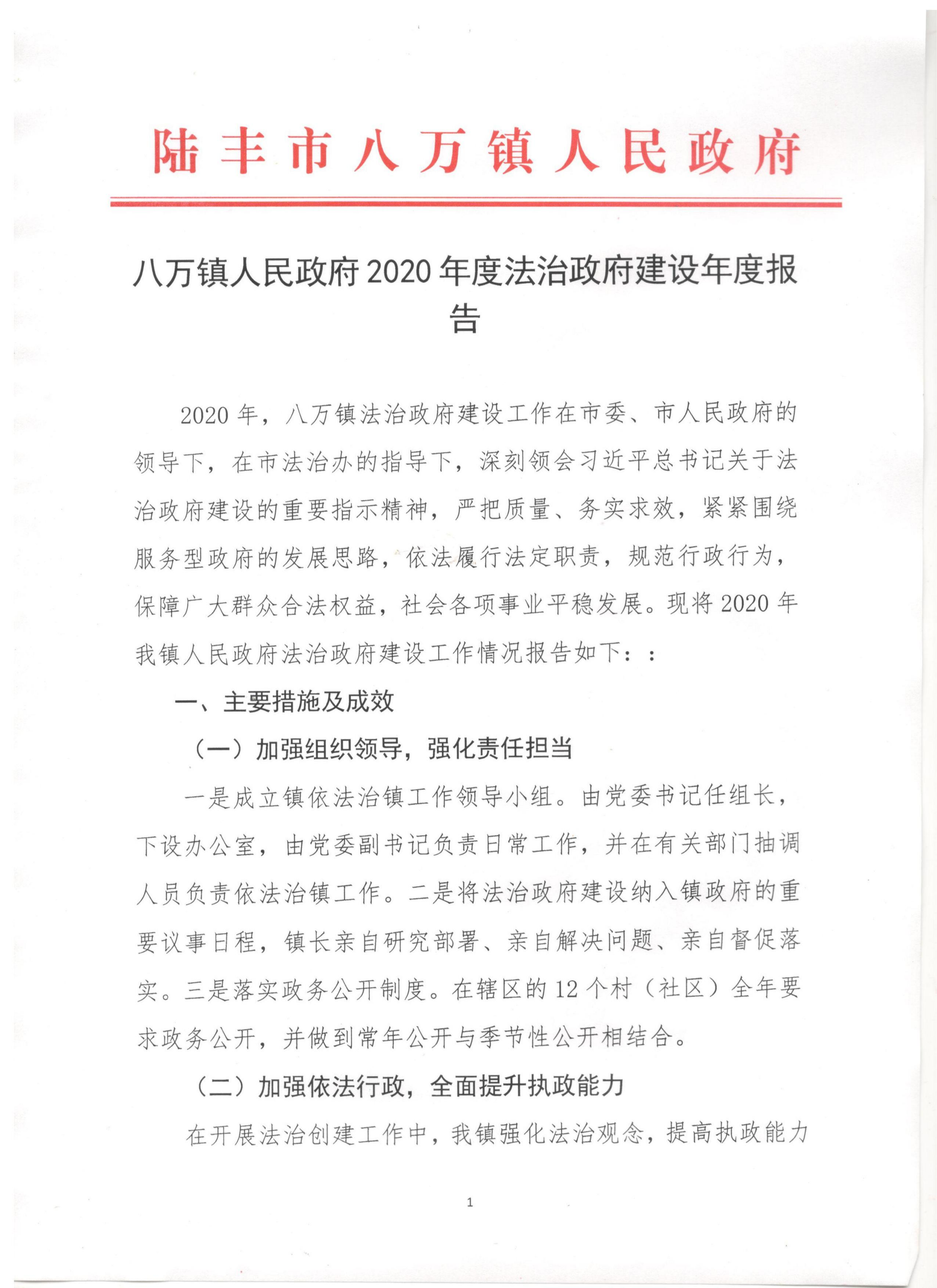 八萬鎮(zhèn)人民政府2020年度法治政府建設(shè)年度報告_00.png