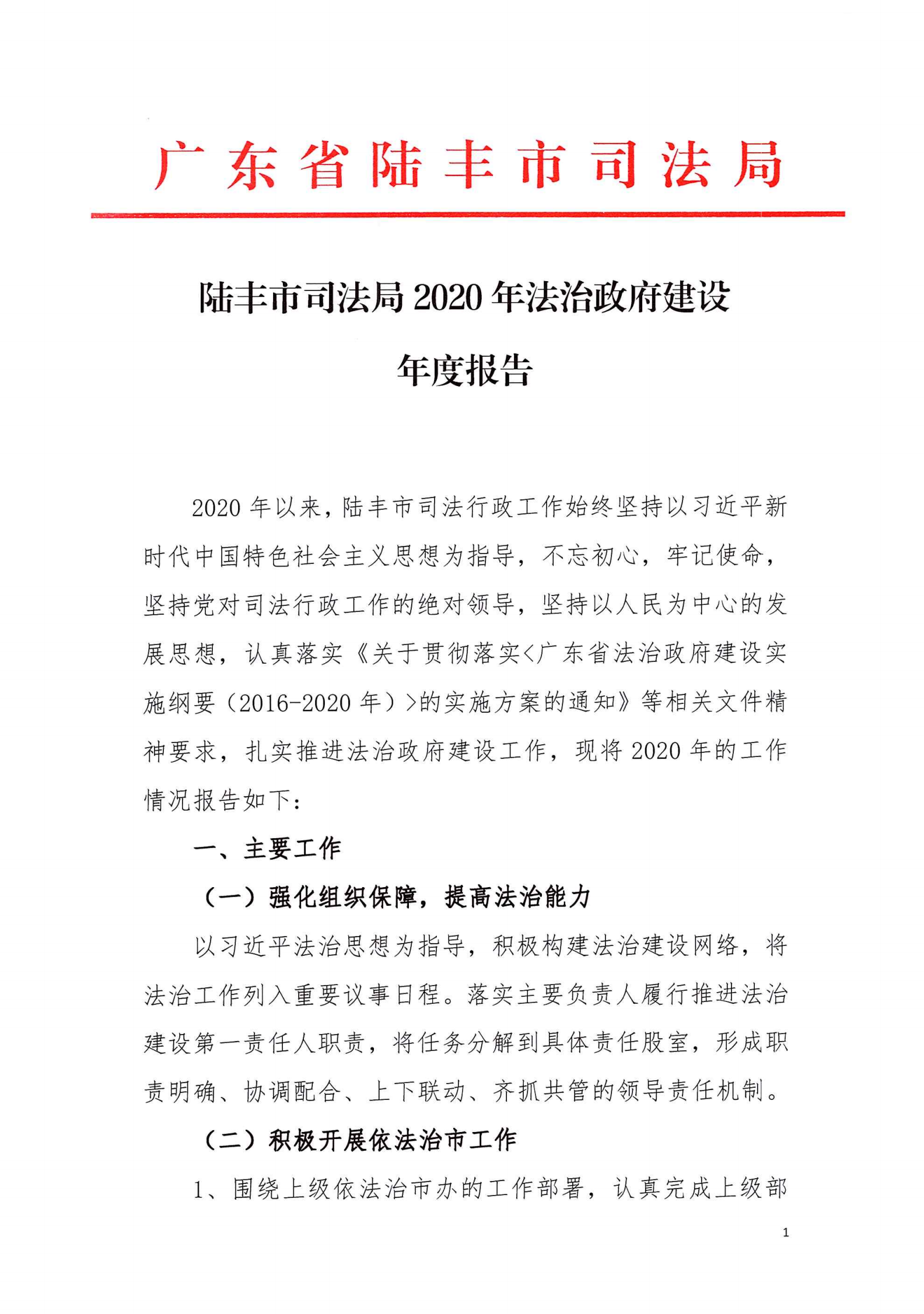 陸豐市司法局2020年法治政府建設(shè)年度報告_00.png